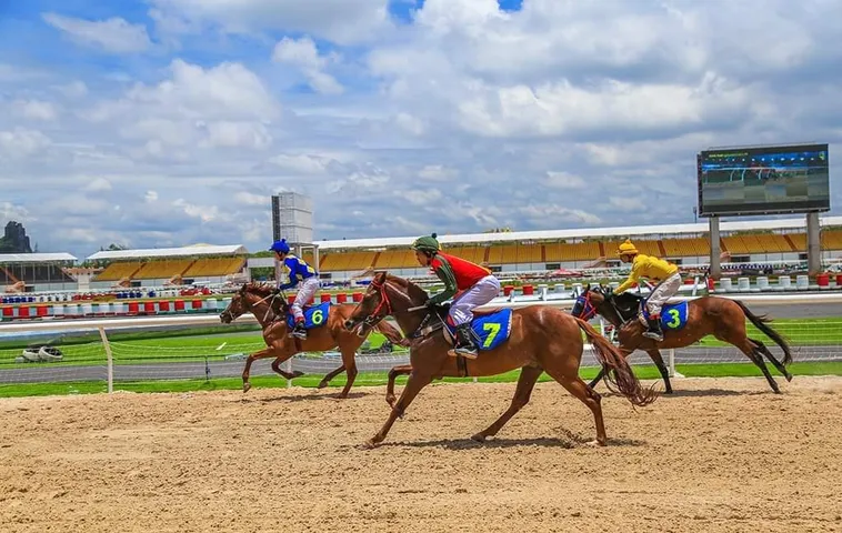 Thống Trị Trường Đua Cá Cược Đua Ngựa Bet88 Như Một Chuyên Gia 2 Thống Trị Trường Đua Cá Cược Đua Ngựa Bet88 Như Một Chuyên Gia