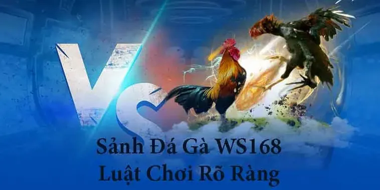 Làm Chủ Đấu Trường Đá Gà WS168 Bet88 Rinh Thưởng Mỗi Ngày 2 Làm Chủ Đấu Trường Đá Gà WS168 Bet88 Rinh Thưởng Mỗi Ngày